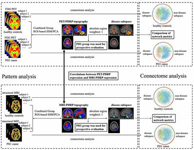 Brain Functional and Structural Signatures in Parkinson’s Disease